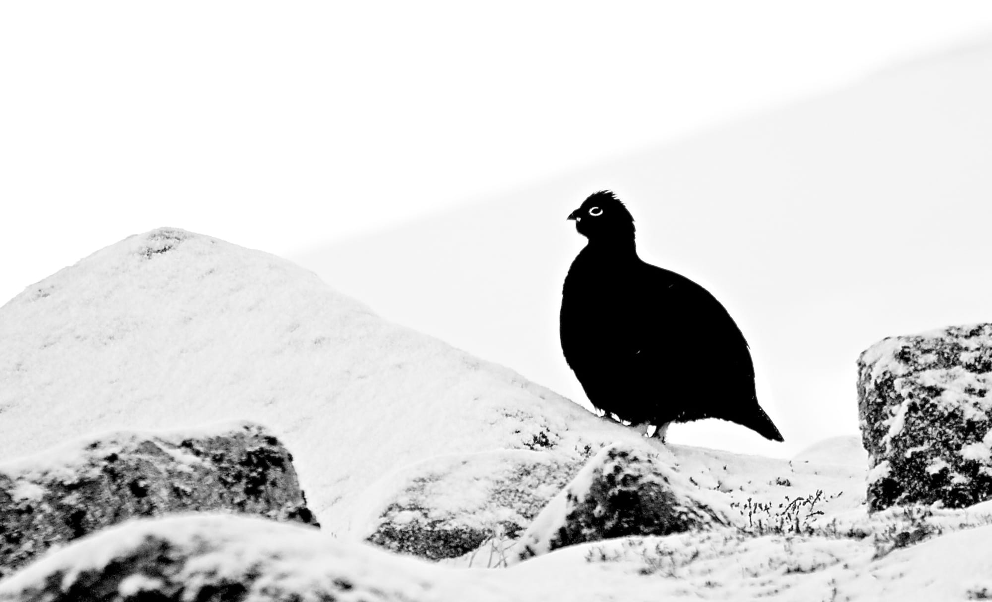 Impossible List - 15 December