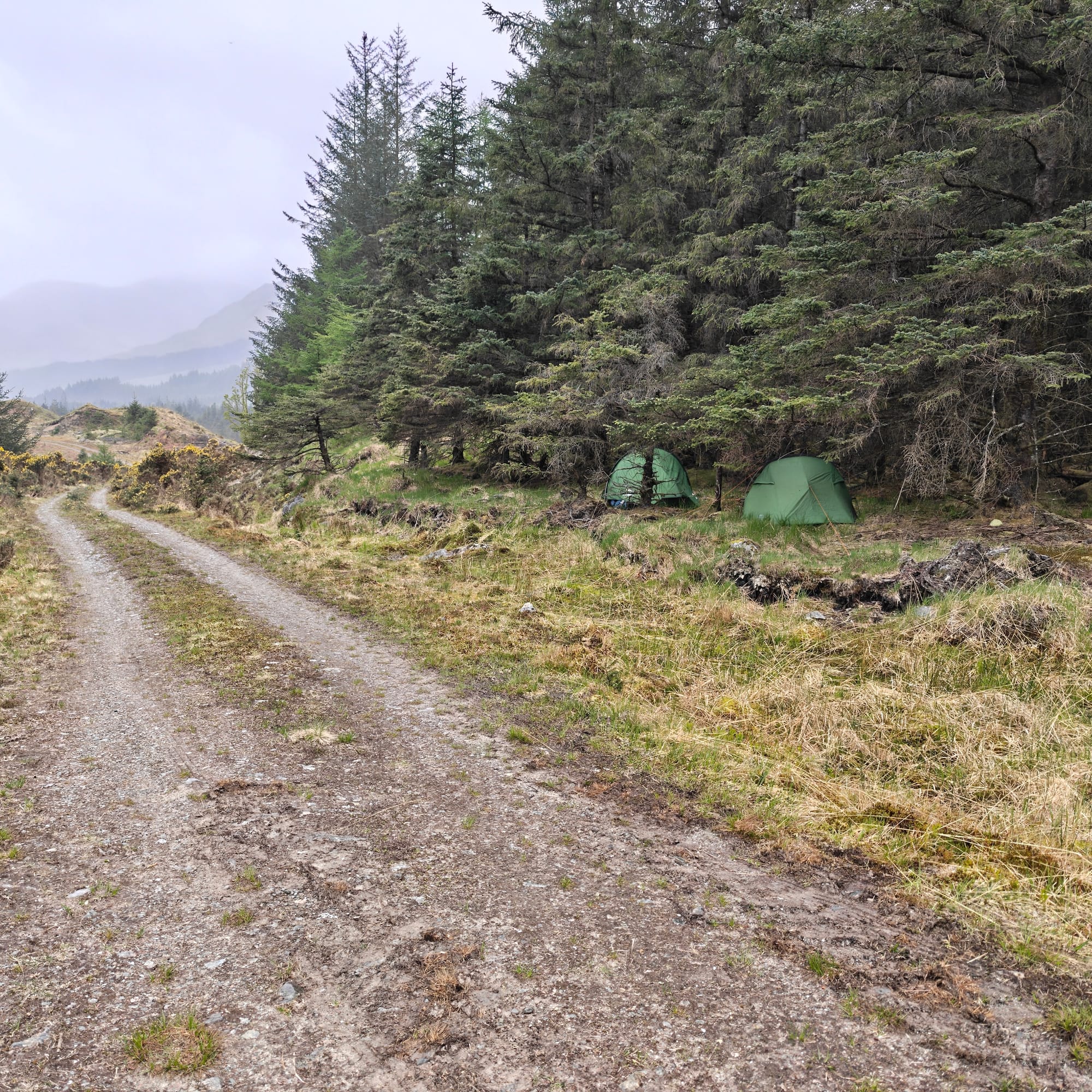 Day Two: Glen Noe, or The Part Where We Question Everything