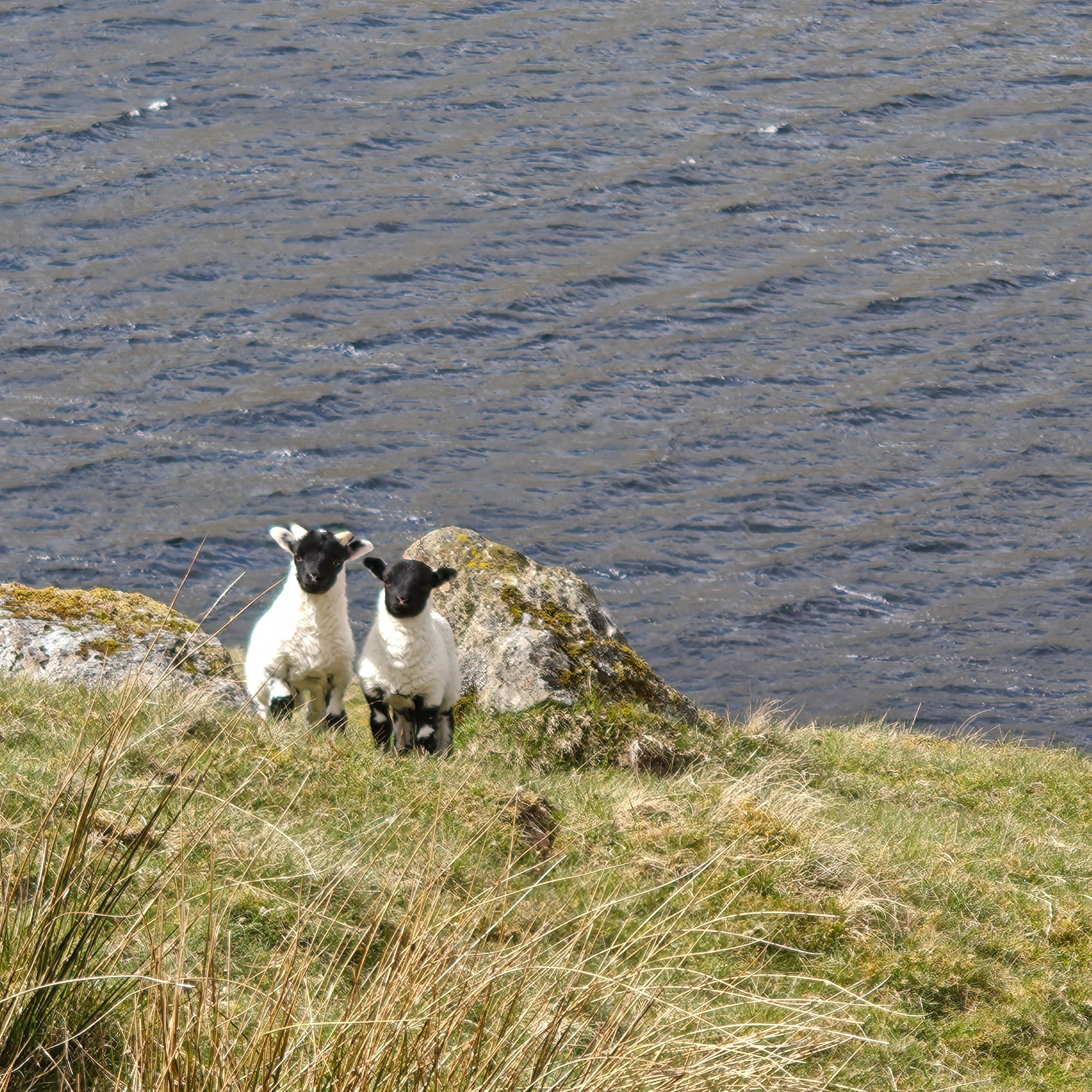 Day Four: Trail Names. River Crossings and the Met Office Lying To My Face